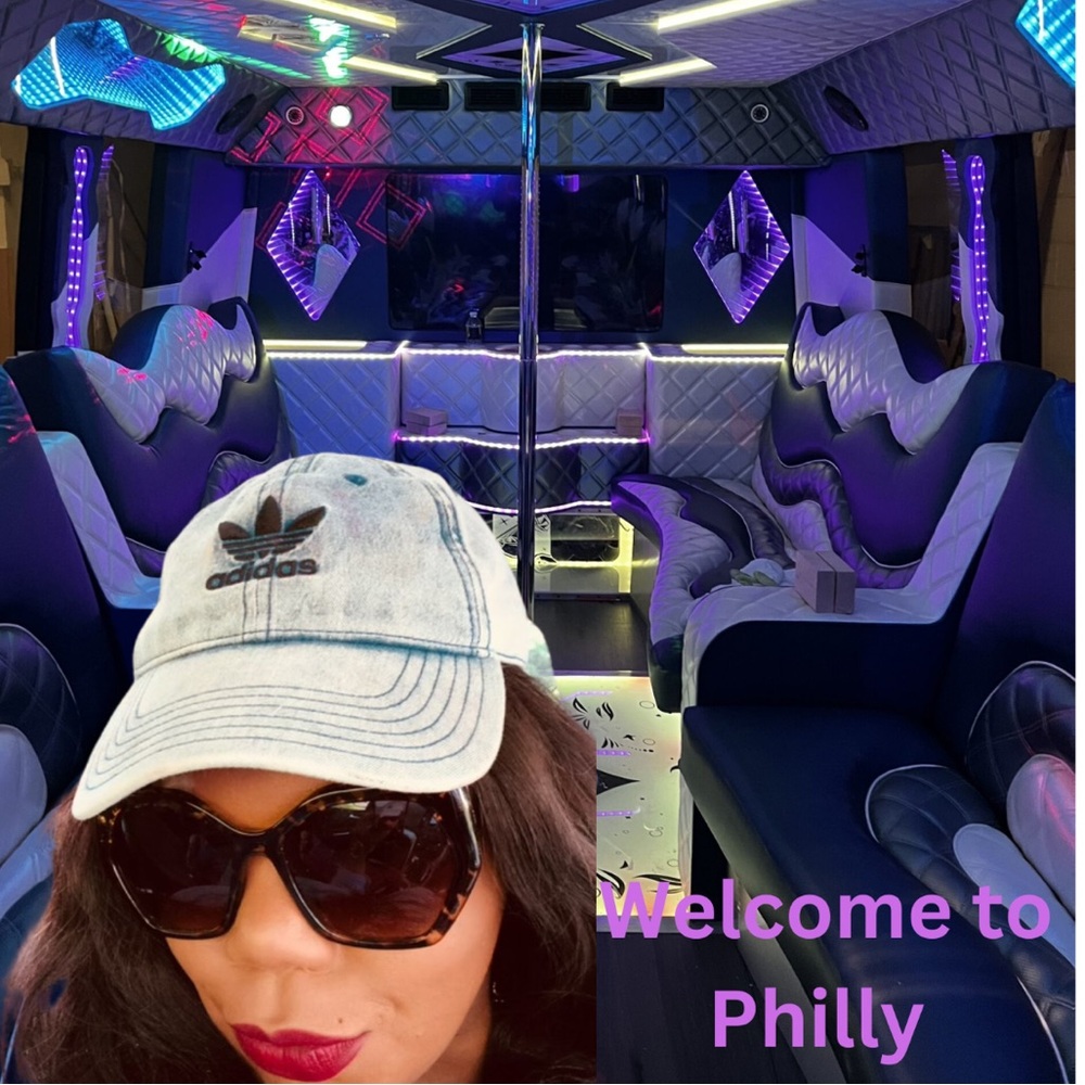 PURPLEARIES 💜 🧩 Party Bus Share Show 💜 🧩 - Picture 4 of 6
